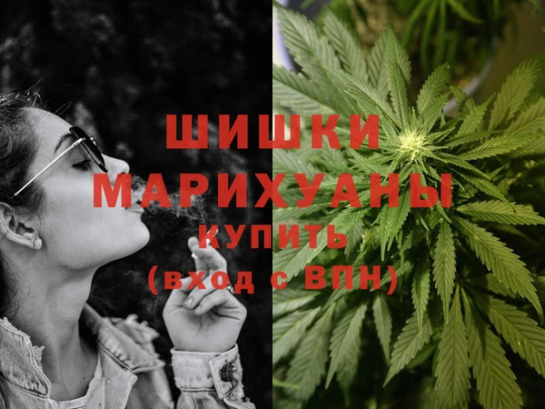 стаф Вязники