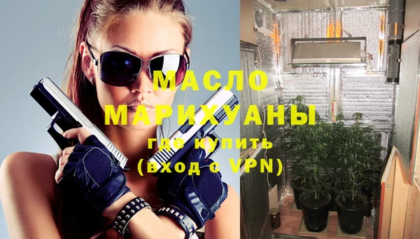 индика Горнозаводск