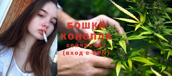 стаф Вязники