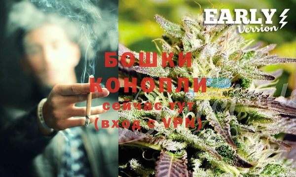 PSILOCYBIN Вяземский