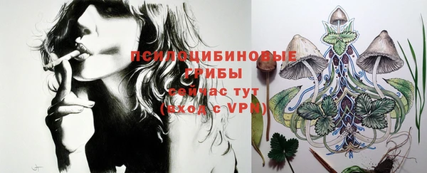 PSILOCYBIN Вяземский