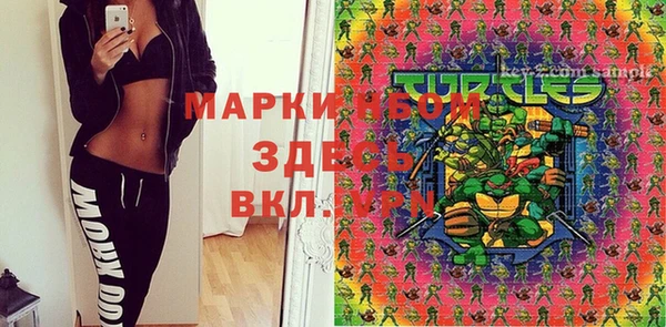 PSILOCYBIN Вяземский