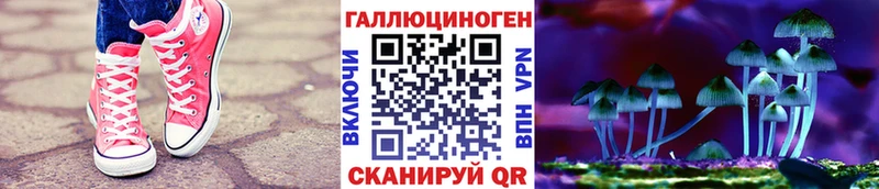 купить наркоту  Нерюнгри  нарко площадка Telegram  Галлюциногенные грибы Magic Shrooms 