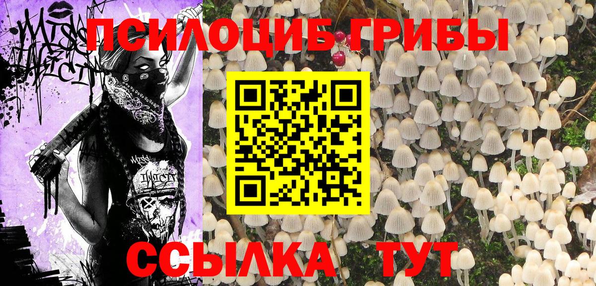 Нерюнгри  что такое наркотик  Вход с VPN  Псилоцибиновые грибы Psilocybine cubensis 