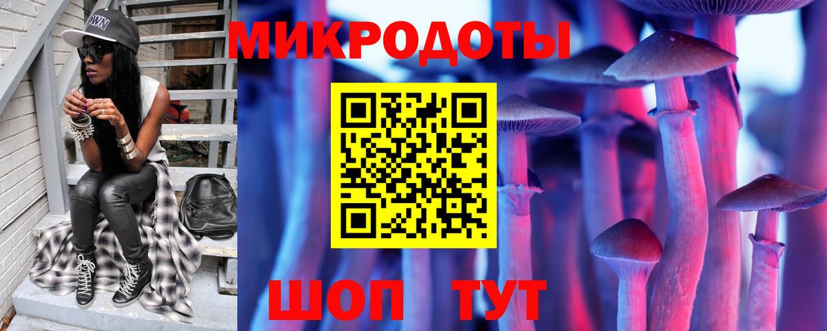 Галлюциногенные грибы Magic Shrooms  Нерюнгри 