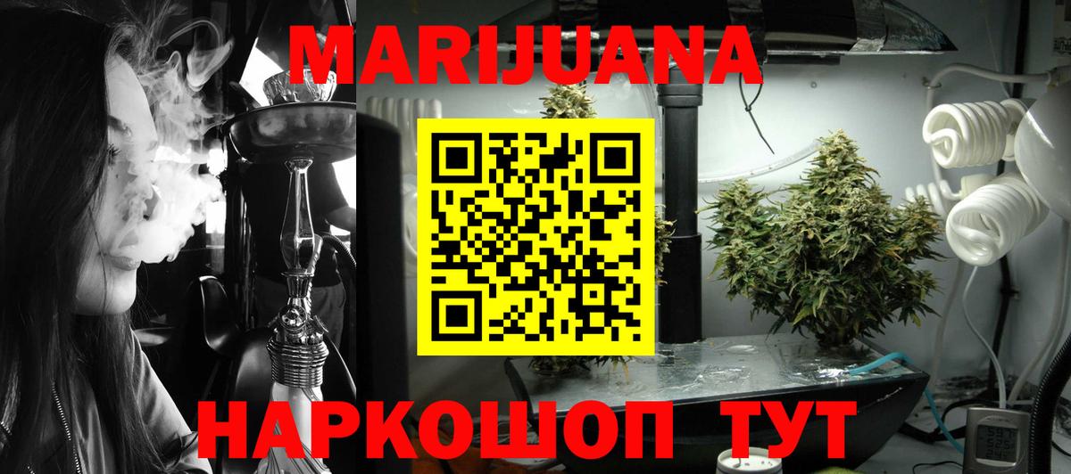 Бошки Шишки семена Нерюнгри